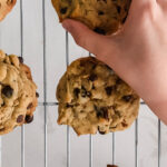 The Best Quick & Easy Chewy Chocolate Chip Cookies - Milk